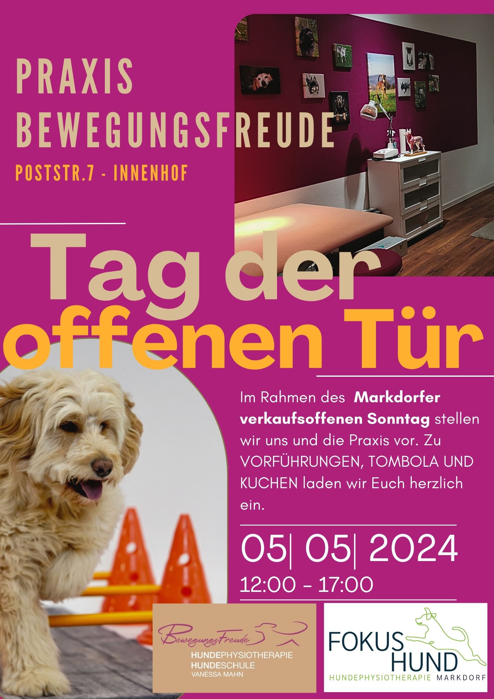 Flyer Tag der offenen Tür Fokus Hund Markdorf 14. Oktober